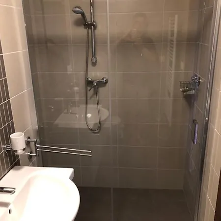 Apartman U Slezaku - Ricky V Orlickych Horach * Wüstenei