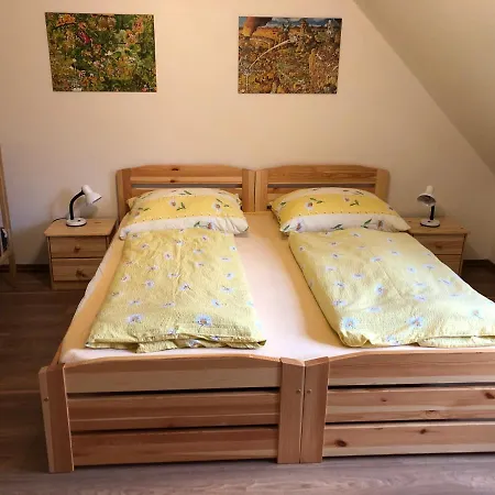 Apartman U Slezaku - Ricky V Orlickych Horach Wüstenei