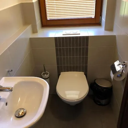 アパート Apartman U Slezaku - Ricky V Orlickych Horach