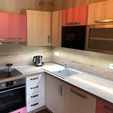 Apartman U Slezaku - Ricky V Orlickych Horach アパート