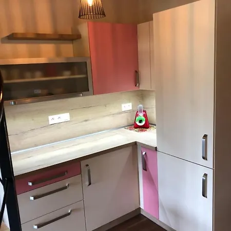 Apartmán U Slezáků - říčky V Orlických Horách Apartamento Pustiny